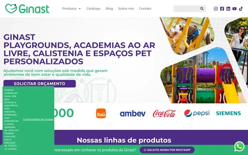 Site Ginast criado pela Matilab